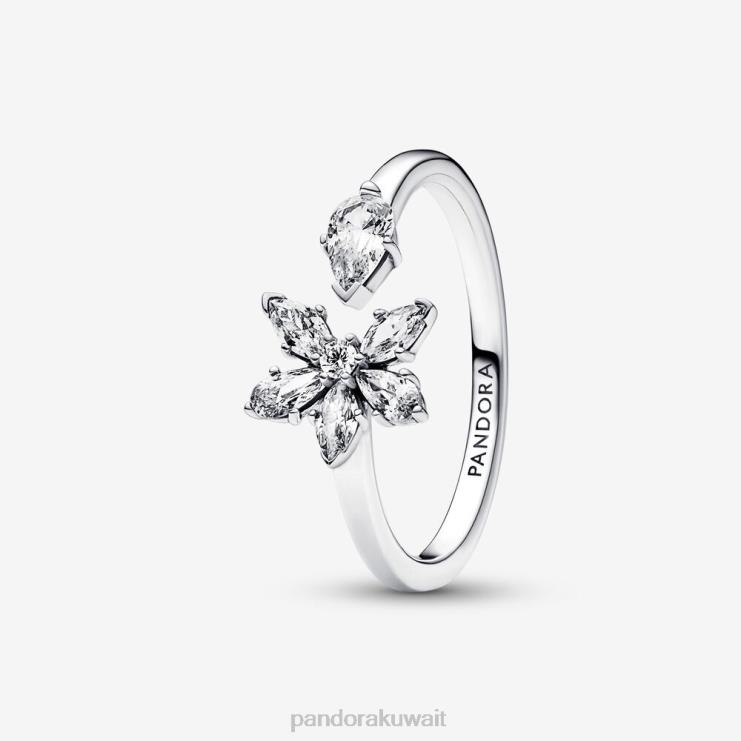 حلقة مفتوحة من مجموعة الأعشاب المتلألئة Pandora الفضة الاسترليني N6N0X674 مُكَمِّلات