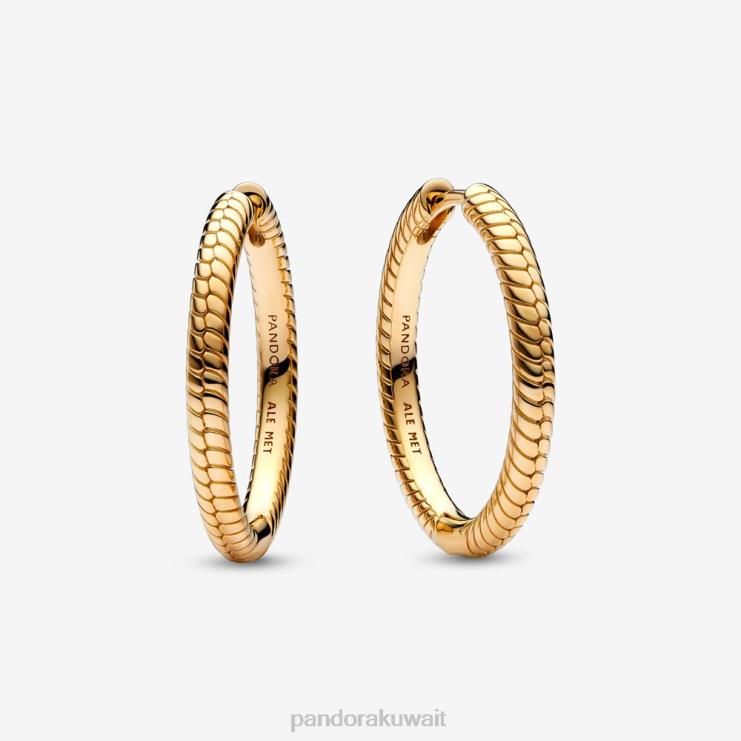 لحظات الأقراط سحر هوب Pandora مطلي بالذهب N6N0X868 مُكَمِّلات