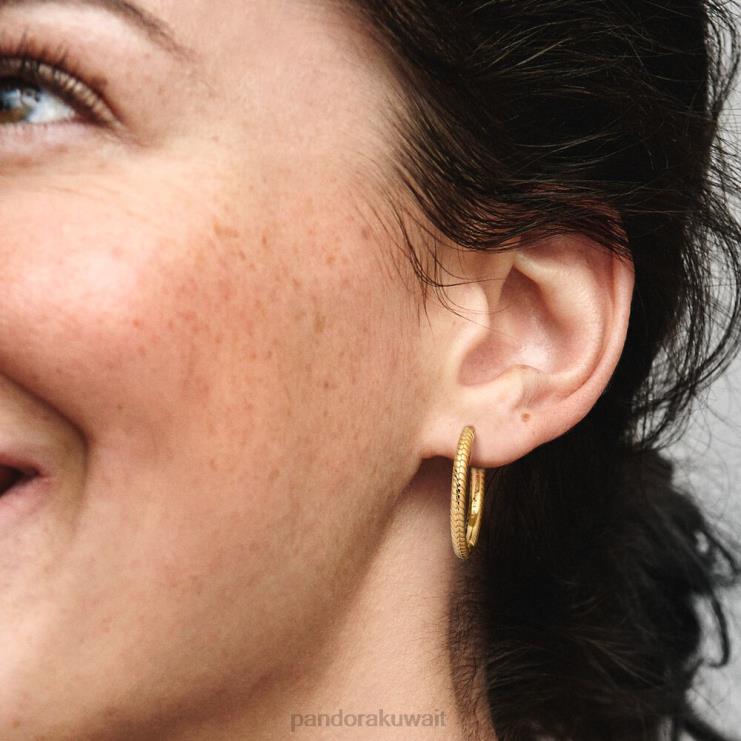 لحظات الأقراط سحر هوب Pandora مطلي بالذهب N6N0X868 مُكَمِّلات