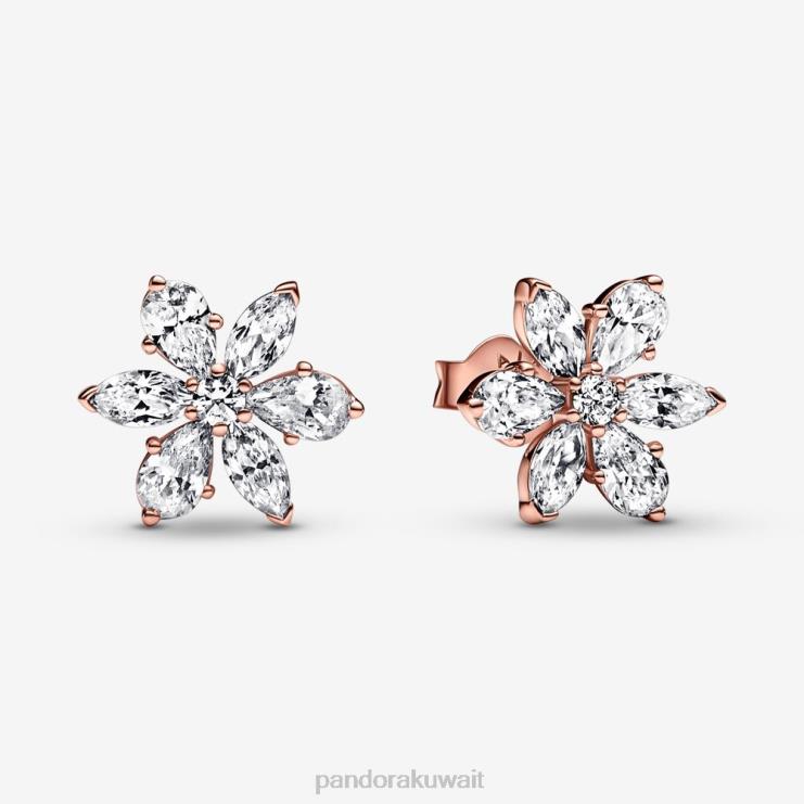 أقراط عنقودية متلألئة من هيرباريوم Pandora ارتفع الذهب مطلي N6N0X928 مُكَمِّلات