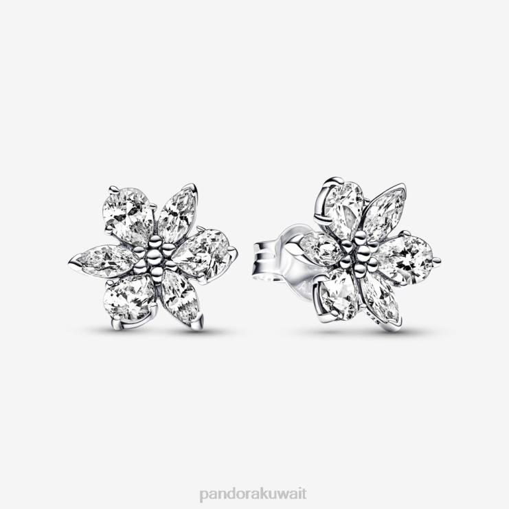 أقراط عنقودية متلألئة من هيرباريوم Pandora الفضة الاسترليني N6N0X937 مُكَمِّلات